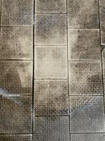 SCALEX CLEANER