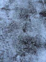 FROST MELT